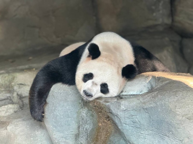 ⛱️标签：#一言 #晚安🌠频道：@ArgunRiver🌌投稿：@ArgunRiver_bot