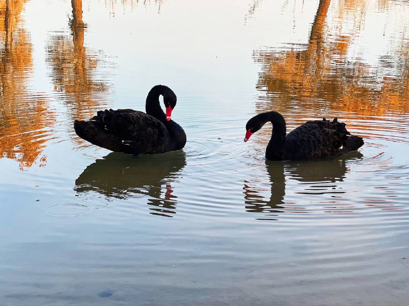 生活分享活动投稿都是风景 不想错过By. @taodejavu⛱️标签：#活动 #摄影🌠频道：@ArgunRiver🌌投稿：@ArgunRiver_bot