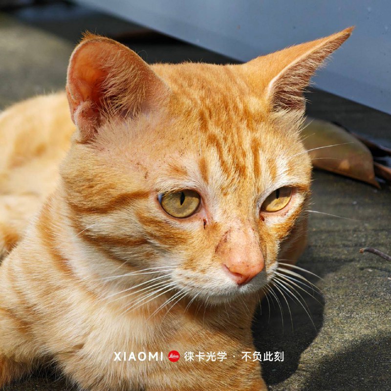 生活分享活动投稿By. @is_gxb⛱️标签：#活动 #摄影🌠频道：@ArgunRiver🌌投稿：@ArgunRiver_bot