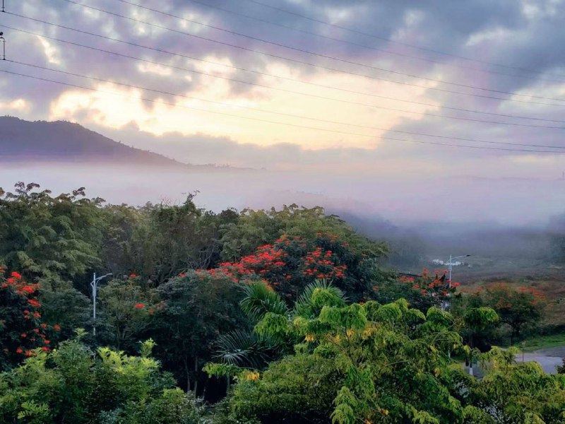 生活分享活动投稿我热爱着羽毛球并坚持热爱下去，因为它能在我情绪低落的时候，给我提供“情绪价值”，邀请上我的朋友，简简单单一场运动就能让我和我的朋友大汗淋漓的同时身心愉悦，同时我也喜欢记录每一次运动或者游玩时遇到的自然景象，我觉得这一切已经是我生活的一部分了，也是让我继续热爱生活的原因之一By. @bigdick852⛱️标签：#活动 #摄影 #运动🌠频道：@ArgunRiver🌌投稿：@ArgunRiver_bot