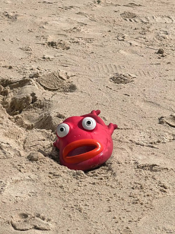 生活分享活动投稿都是风景 不想错过By. @taodejavu⛱️标签：#活动 #摄影🌠频道：@ArgunRiver🌌投稿：@ArgunRiver_bot