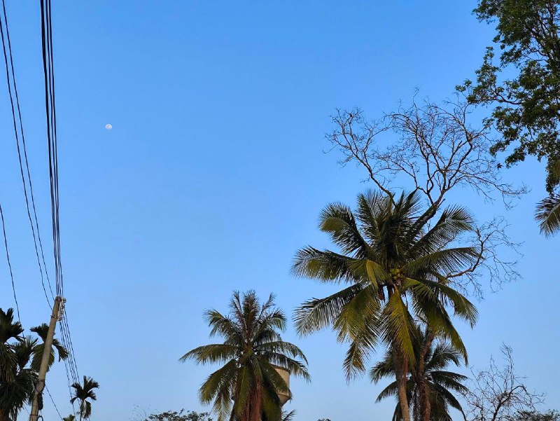 生活分享活动投稿我热爱着羽毛球并坚持热爱下去，因为它能在我情绪低落的时候，给我提供“情绪价值”，邀请上我的朋友，简简单单一场运动就能让我和我的朋友大汗淋漓的同时身心愉悦，同时我也喜欢记录每一次运动或者游玩时遇到的自然景象，我觉得这一切已经是我生活的一部分了，也是让我继续热爱生活的原因之一By. @bigdick852⛱️标签：#活动 #摄影 #运动🌠频道：@ArgunRiver🌌投稿：@ArgunRiver_bot