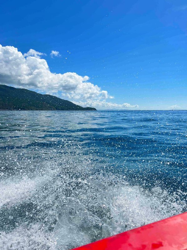 生活分享活动投稿都是风景 不想错过By. @taodejavu⛱️标签：#活动 #摄影🌠频道：@ArgunRiver🌌投稿：@ArgunRiver_bot