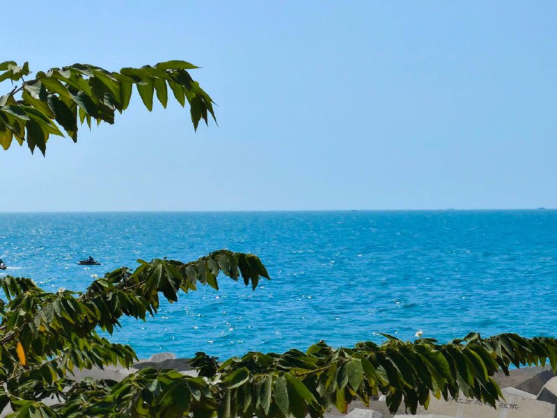 生活分享活动投稿我热爱着羽毛球并坚持热爱下去，因为它能在我情绪低落的时候，给我提供“情绪价值”，邀请上我的朋友，简简单单一场运动就能让我和我的朋友大汗淋漓的同时身心愉悦，同时我也喜欢记录每一次运动或者游玩时遇到的自然景象，我觉得这一切已经是我生活的一部分了，也是让我继续热爱生活的原因之一By. @bigdick852⛱️标签：#活动 #摄影 #运动🌠频道：@ArgunRiver🌌投稿：@ArgunRiver_bot