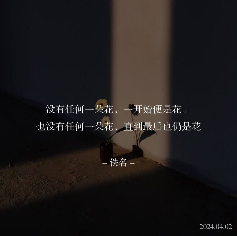 ⛱️标签：#一言 #晚安🌠频道：@ArgunRiver🌌投稿：@ArgunRiver_bot