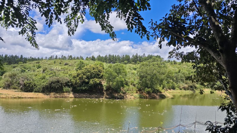 生活分享活动投稿生活中的点滴