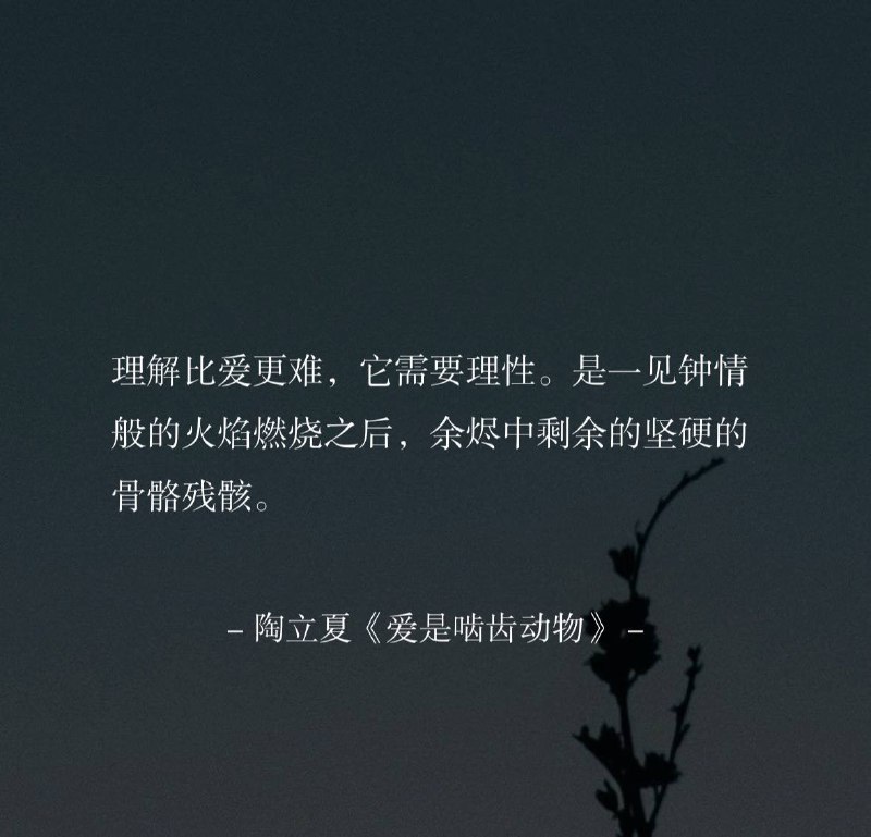 ⛱️标签：#一言 #晚安🌠频道：@ArgunRiver🌌投稿：@ArgunRiver_bot