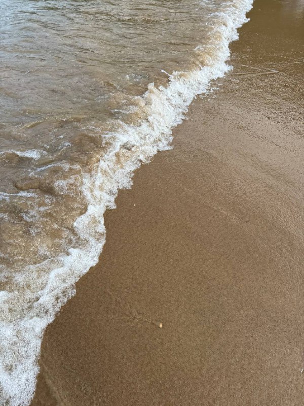 ⛱️标签：#一言 #晚安🌠频道：@ArgunRiver🌌投稿：@ArgunRiver_bot